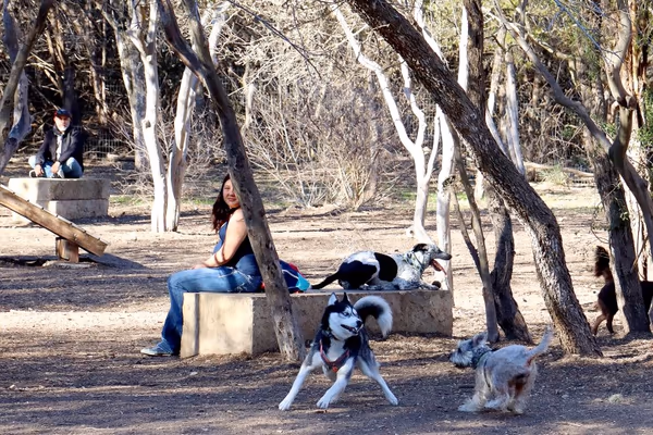 Phil Hardberger Dog Park (East)